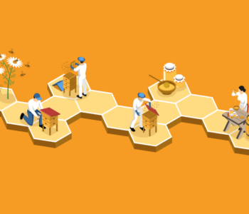 A Journey from Bee- Box to WooCommerce Dev Company