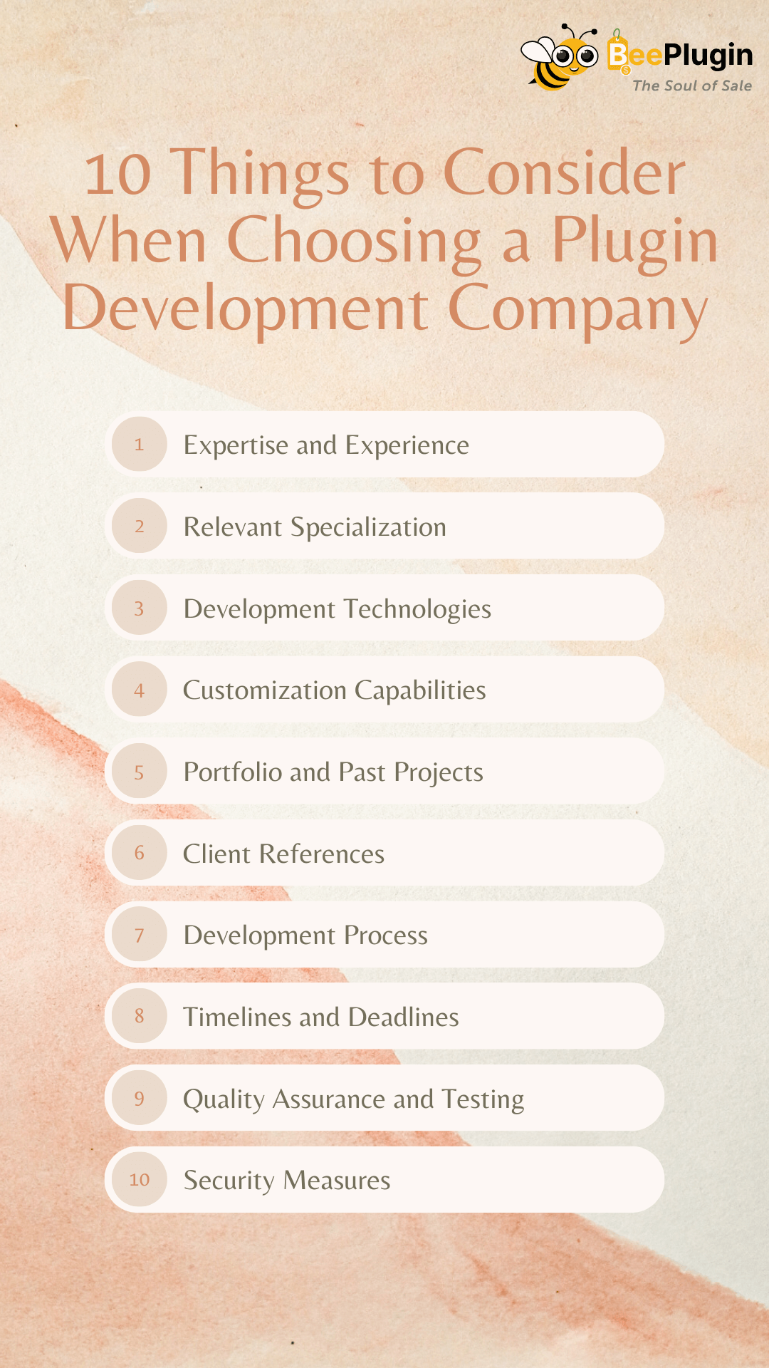 10 Things to Consider When Choosing a Plugin Development Company