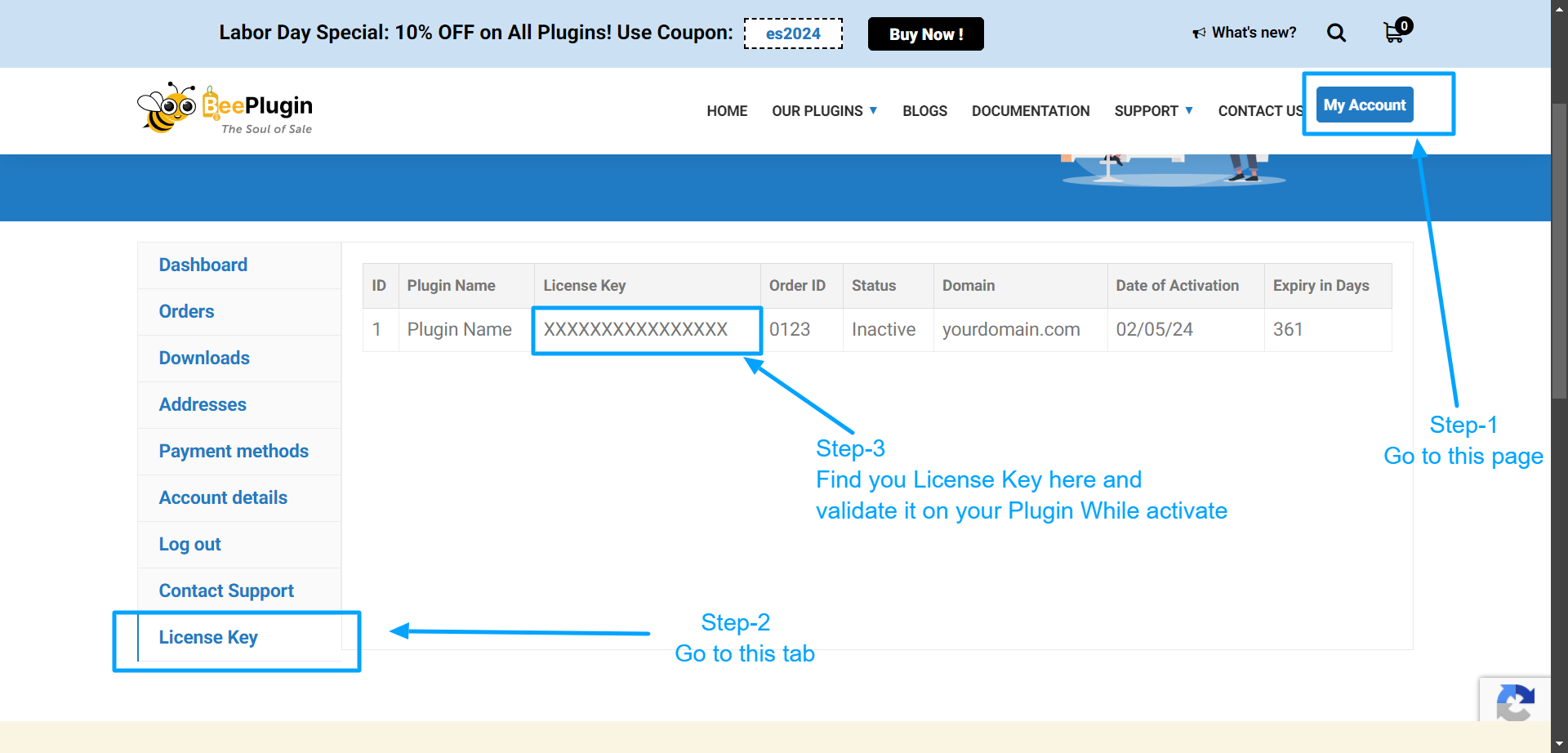 License Key