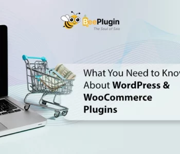 What You Need to Know About WordPress & WooCommerce Plugins